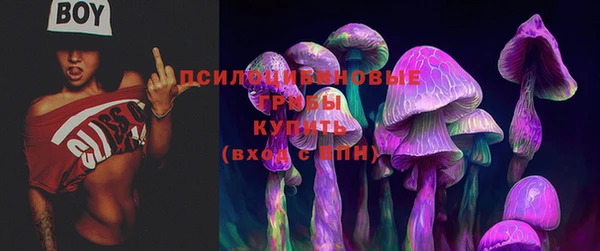 spice Абинск