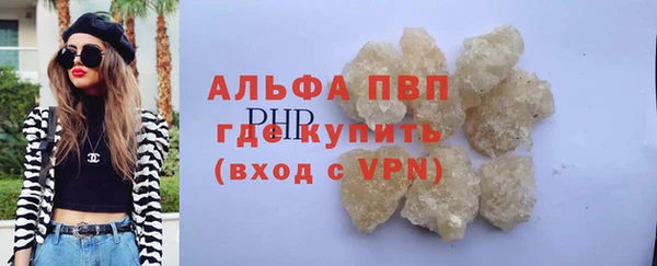 гидра Абаза
