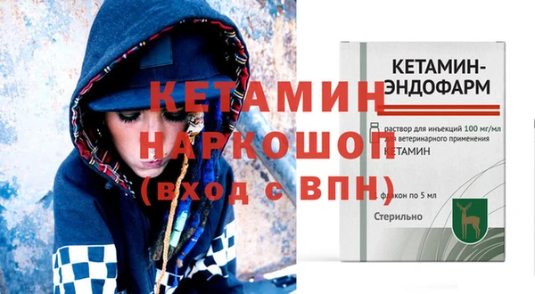 гидра Абаза