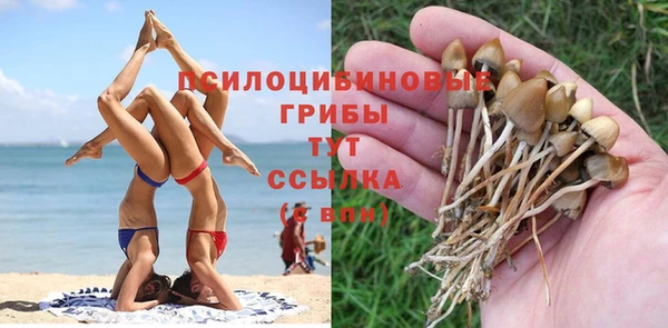 гидра Абаза