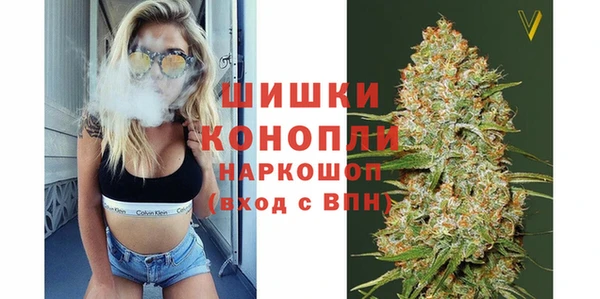 гидра Абаза