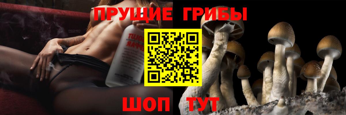 Галлюциногенные грибы прущие грибы Каменск-Шахтинский