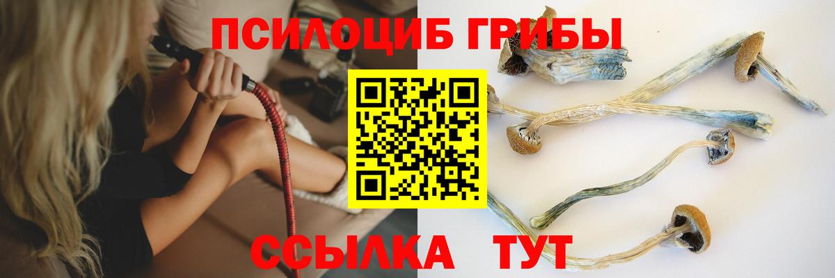 Псилоцибиновые грибы прущие грибы  Вход с VPN  где найти   Каменск-Шахтинский 
